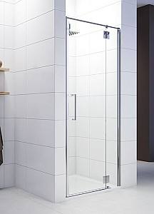 Стеклянная душевая дверь Sanplast DJ2P Space 90 S cm sbW0 (600-100-1650-42)