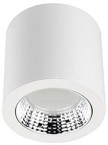Направленый светодиодный светильник Rightlight 21W (LBLSRF0321)