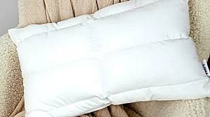 Perna Relaxe Home KANGAROO ВАВY 40x60 cm