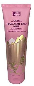 Шампунь для волос Family Forever Factory Himalayan Salt Mint