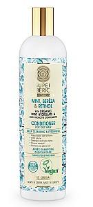 Кондиционер для волос Natura Siberica Conditioner for Oily Hair