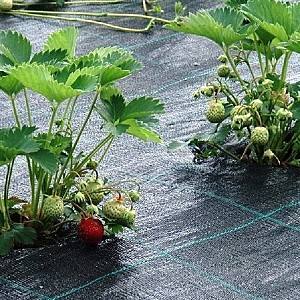 Пленка для теплиц Greentech Агроткань 90gsm 0,35x200