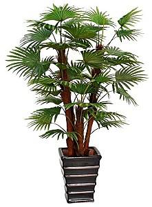 Flori artificiale OEM/ODM Fan Palm (Green)