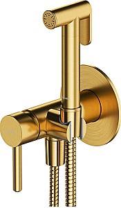 Baterie pentru bideu Omnires Y brushed gold SYSYBI2GLB