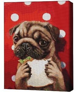 Pictura cu diamante BrushMe Cățeluș fericit, Lucia Heffernan 40*50 сm (fără cutie)