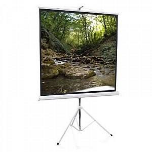 Экран для проектора Elite Screens 119 inch (1:1) 213,4x213,4cm (T119NWS1)
