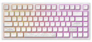 Игровая клавиатура Dark Project 81 Terra Nostra White