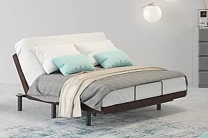 Pat Askona Ergomotion 3160