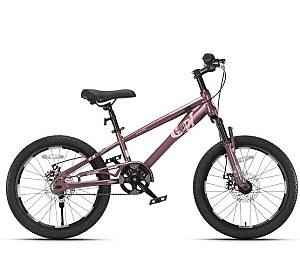 Велосипед детский New World TN24Q22 Purple