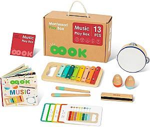 Музыкальная игрушка Tooky Toy BCTJ685