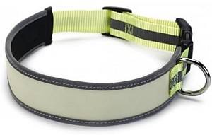 Zgarda pentru caini Beeztees Glow in the Dark (749826)