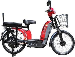 Электровелосипед TT AGRO MOTO Modern EB-006