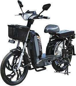 Электровелосипед TT AGRO MOTO Modern EB-001