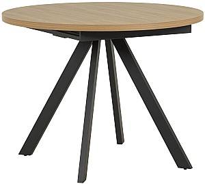 Masa Avanti Rondo Oak