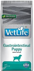 Hrana uscata pentru caini Farmina Vet Life Gastrointestinal Puppy 2kg
