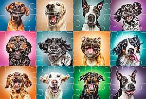 Puzzle Trefl 10462