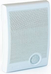 Профессиональная акустическая система Master Audio WS108T