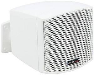 Профессиональная акустическая система Master Audio MB200TW