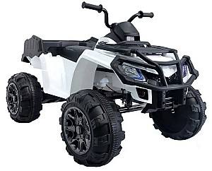 ATV electric Lean Cars BDM 0909