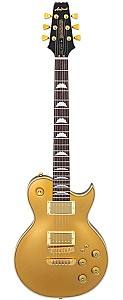 Электрическая гитара Aria Pro II PE-F80 GDTR Gold Top