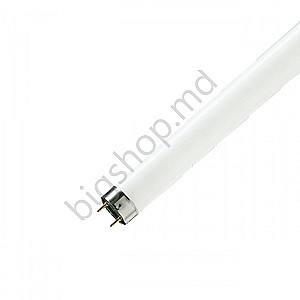 Флуоресцентная лампа Philips 88864825 36V