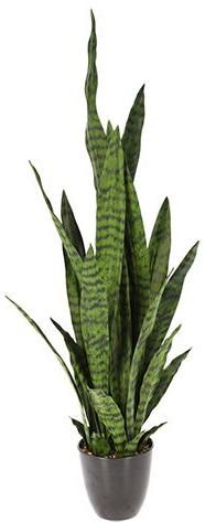 Flori artificiale NVT Sansevieria (49465)