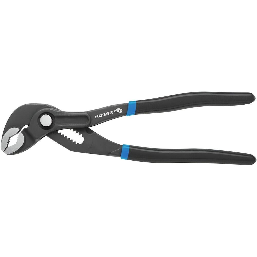 Cleste Hoegert HT1P377