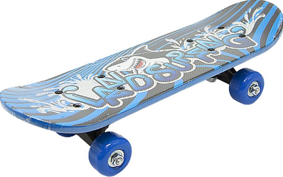 Skateboard New World Land Surfing PY-817