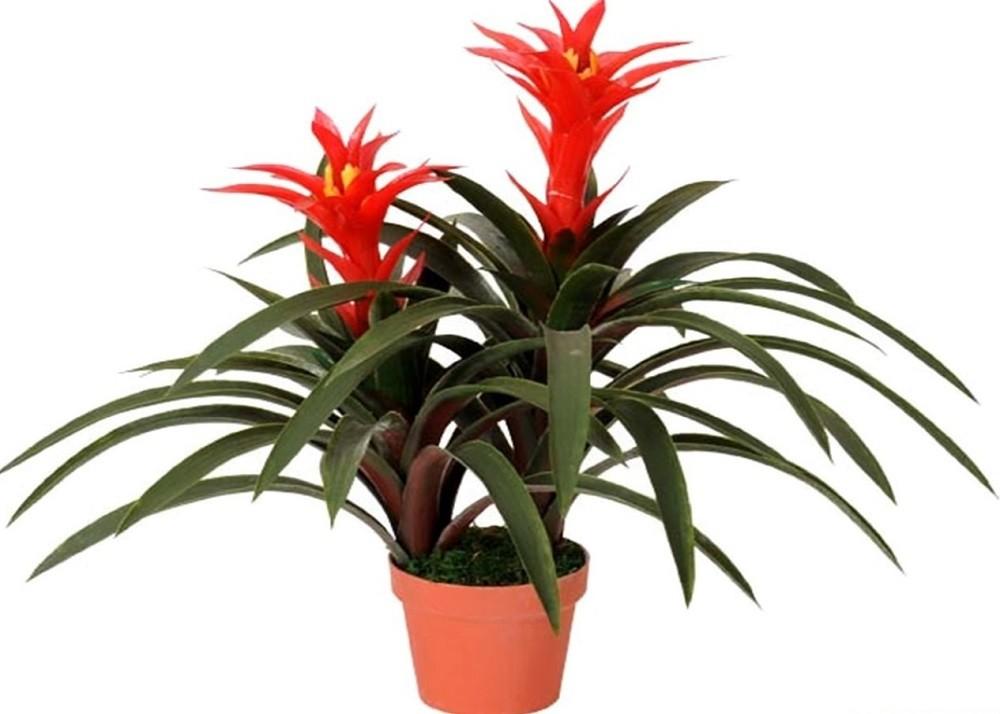 Flori artificiale OEM/ODM Guimania 60cm Green/Red