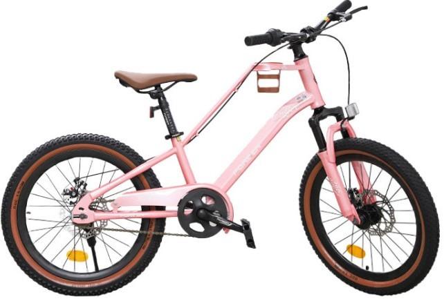 Велосипед детский New World Forever 20 Pink (KFC-20)