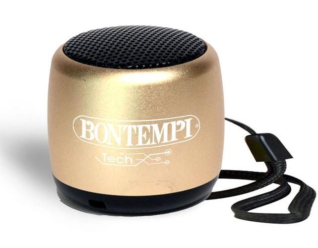 Музыкальная игрушка Bontempi 490110 Gold