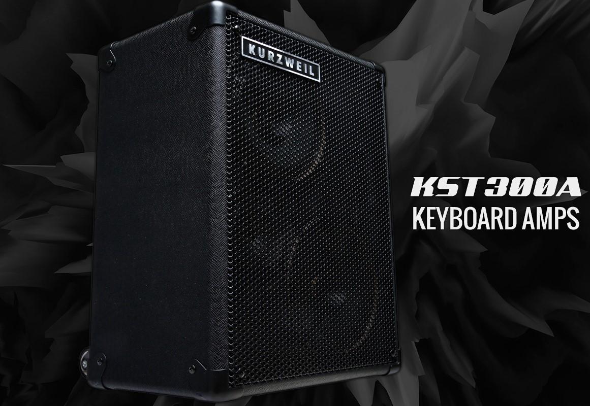 Портативная колонка Kurzweil KST300A