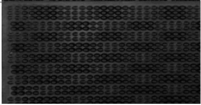 Covoras intrare VLM K309 41.5x58