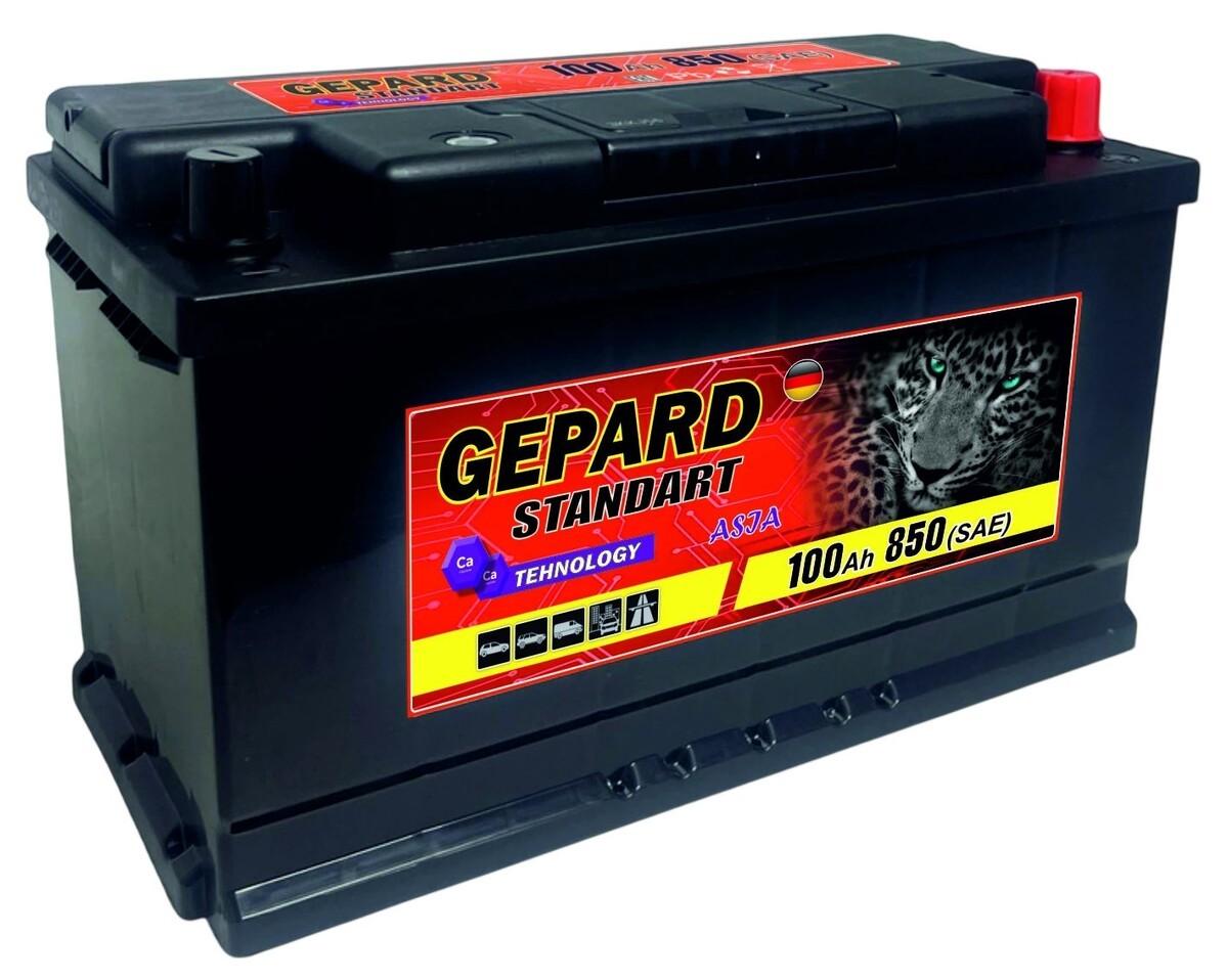 Аккумулятор GEPARD Standart 100 AH 850A