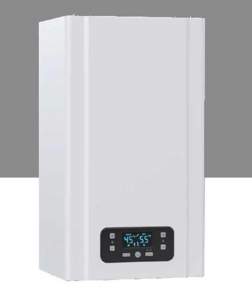 Cazan pe gaz E.C.A Gerda 24 kw