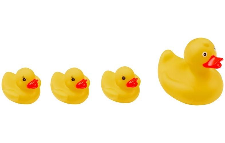Игрушка для купания Roxy Kids RRT-811