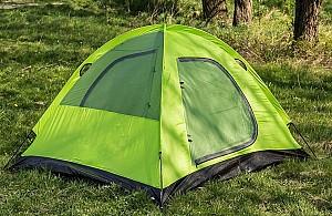Cort Peme Taurus 3