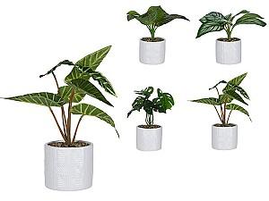 Flori artificiale NVT Floare artificiala 25cm