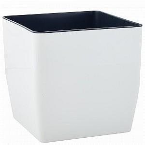  Aleana Cvadro 115038