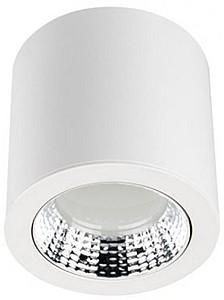 Corp de iluminat directionat LED Rightlight 21W (LBLSRF0321)