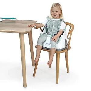 Scaun de masa simplu Ingenuity 2 in 1 Bright Starts Mist
