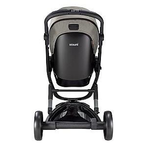 Carucior 2 in 1 Bebumi Space Black Eco Gray