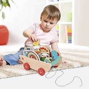 Jucarie de impins si tras Fisher  price 72031A