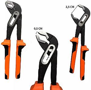 Cleste Wokin 101510