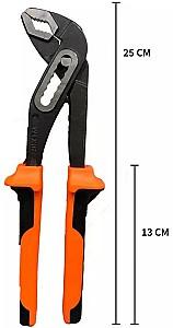 Cleste Wokin 101510