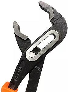 Cleste Wokin 101510
