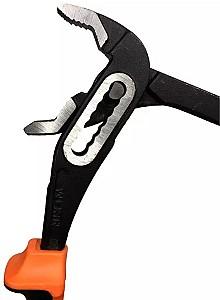Cleste Wokin 101510