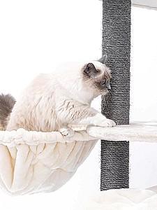 Ansamblu pentru pisici PETREBELS Kings&Queens Catharina 160 Cream