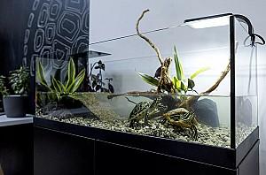 Acvariu Aquael AQUATERRARIUM 100 negru