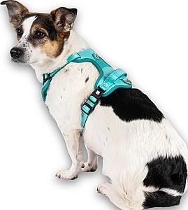 Ham pentru caini Max & Molly Matrix 2.0 Turcquoise L